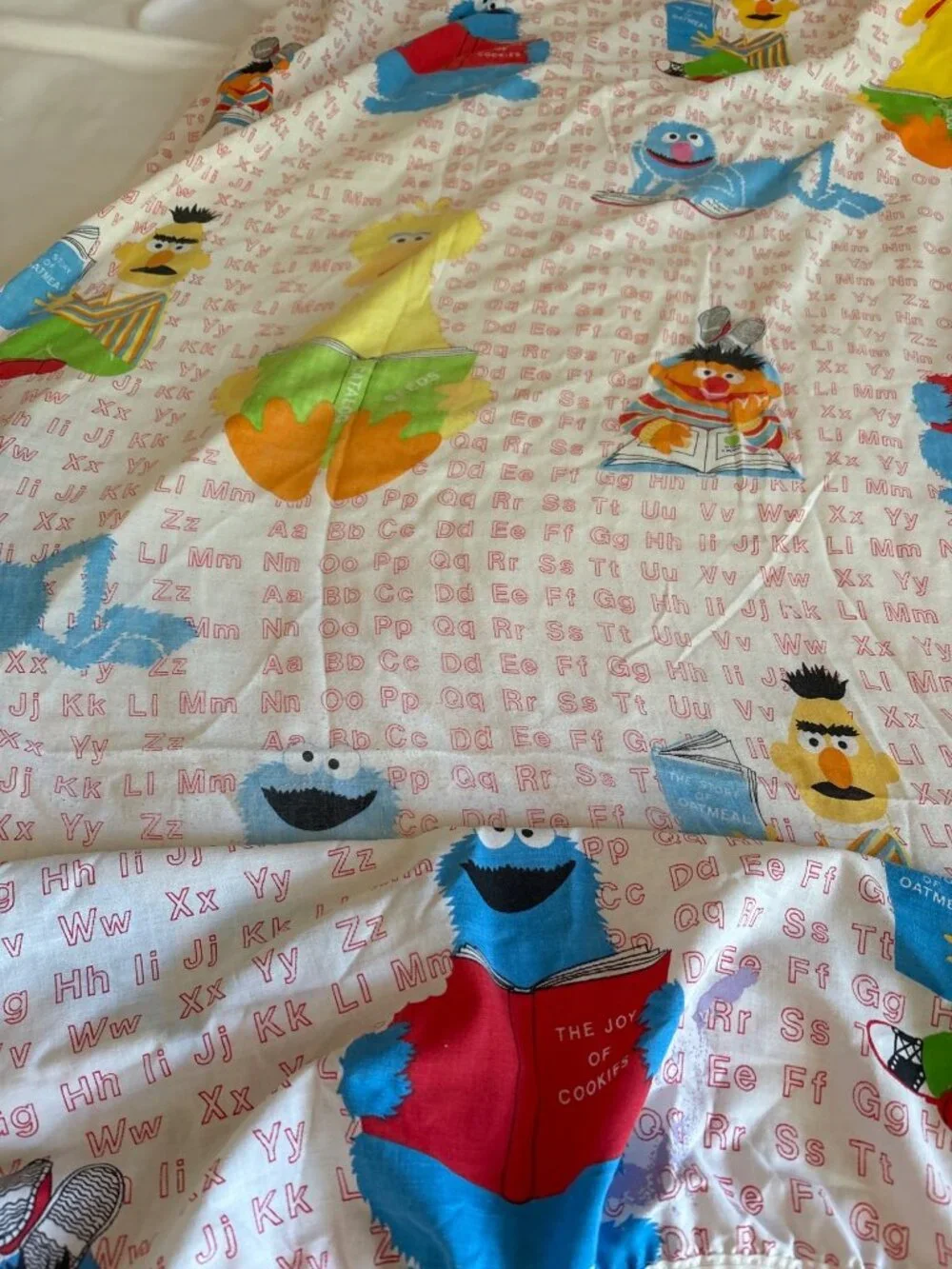 Vintage Sesame Street Alphabet Fitted Sheet Twin Size Big Bird Cookie Cutter
